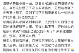 宜春为什么选择专业追讨公司来处理您的债务纠纷？